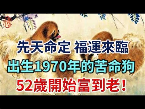 1970生肖狗|1970年是什麼生肖？70年生人命運如何？五行屬釵釧。